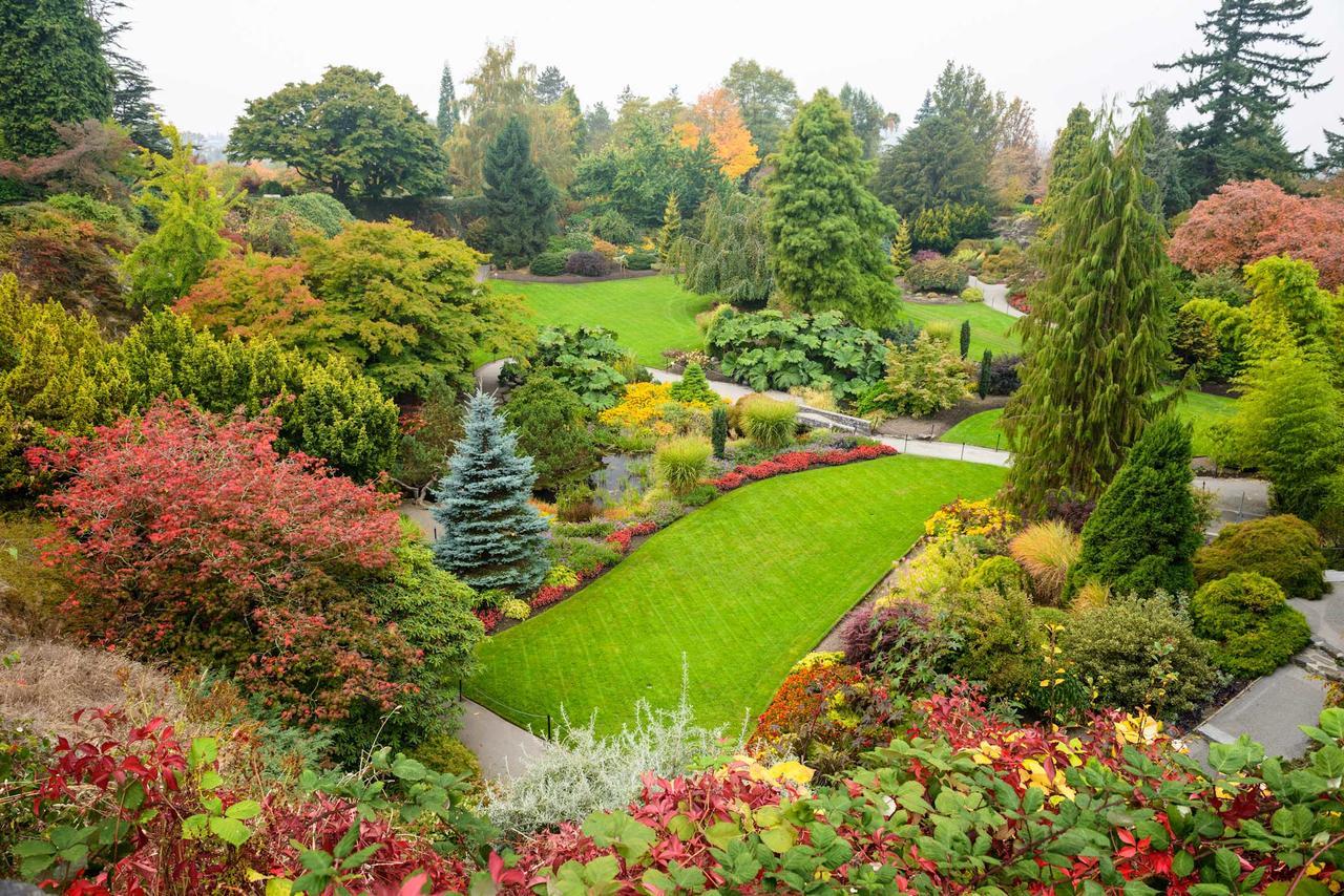 The Manor Guest House Vancouver Bagian luar foto